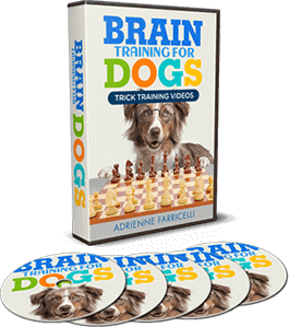 Brain Training for Dogs