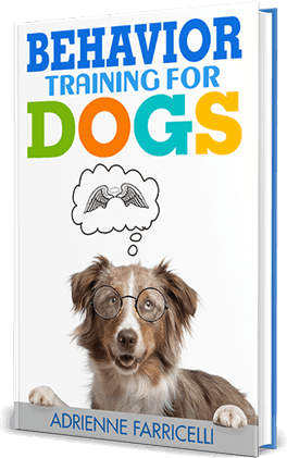 Brain Training for Dogs Bonus 