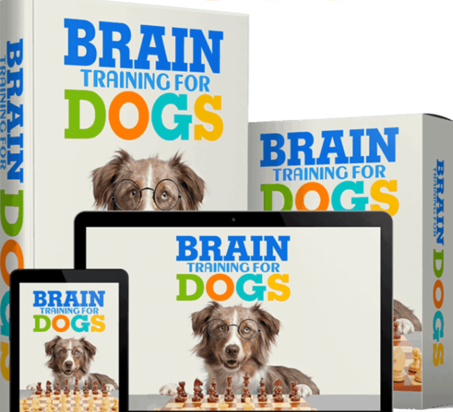 Brain Training for Dog