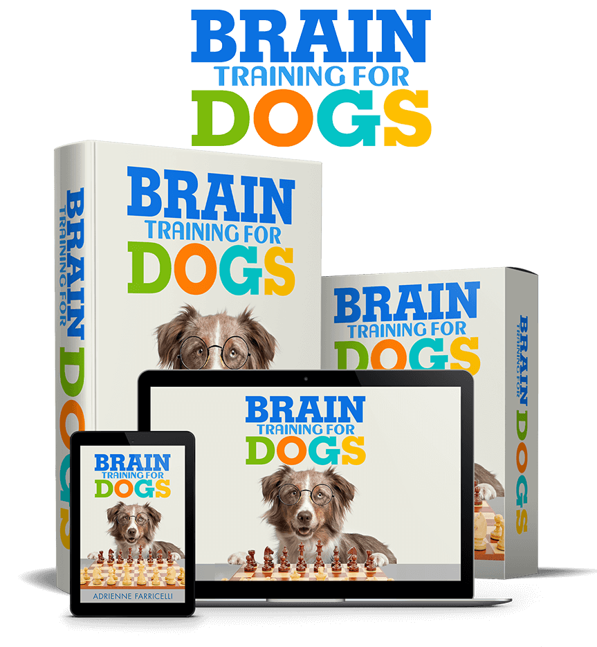 Brain Training for Dogs - Order Now